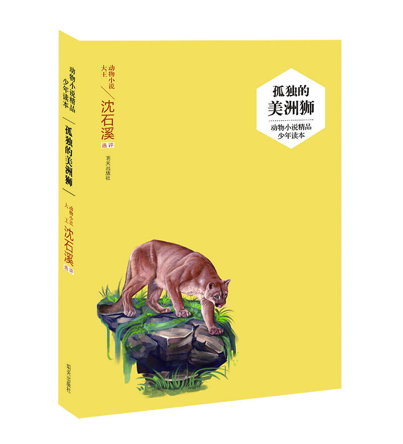 孤獨的美洲獅 孤獨的美洲獅