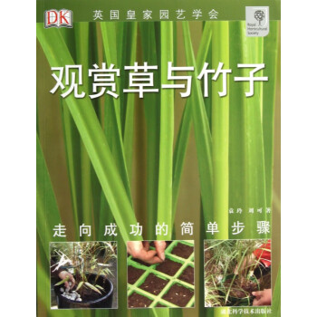 觀賞草與竹子 觀賞草與竹子