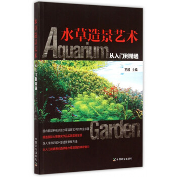 水草造景藝術(shù) 水草造景藝術(shù)