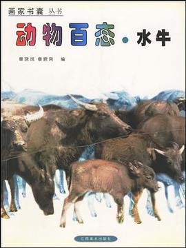 動物百態,水牛