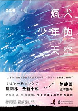 瘋犬少年的天空 瘋犬少年的天空