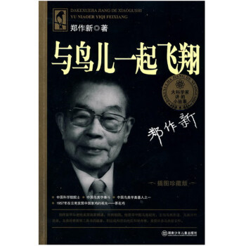 與鳥兒一起飛翔