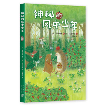 神秘的風中少年
