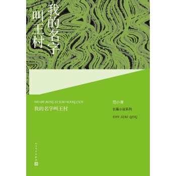 我的名字叫王村 我的名字叫王村