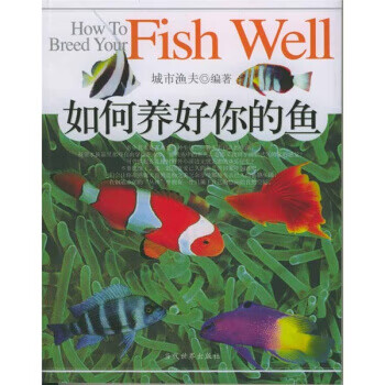 如何養好你的魚 如何養好你的魚