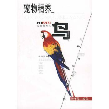 鳥--寵物精養(yǎng) 鳥--寵物精養(yǎng)