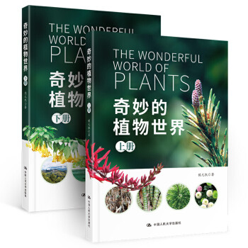 奇妙的植物世界 奇妙的植物世界