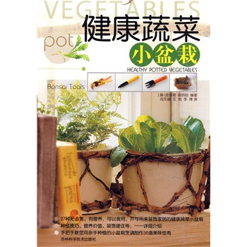 健康蔬菜小盆栽 健康蔬菜小盆栽