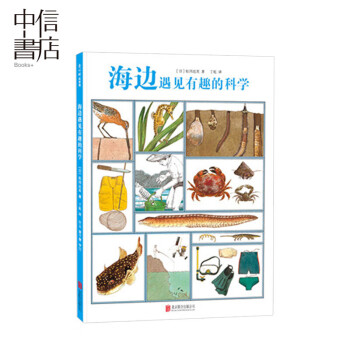 海邊遇見(jiàn)有趣的科學(xué) 海邊遇見(jiàn)有趣的科學(xué)