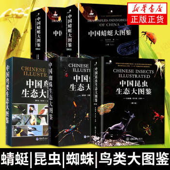 中國(guó)昆蟲(chóng)生態(tài)大圖鑒 中國(guó)昆蟲(chóng)生態(tài)大圖鑒