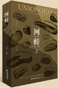河蚌 河蚌