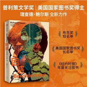 困惑 困惑