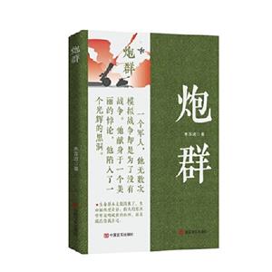炮群 炮群