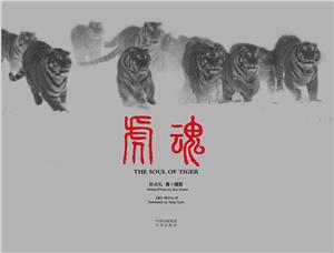 虎魂 虎魂