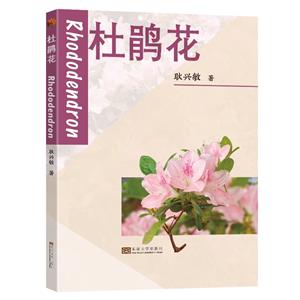 杜鵑花 杜鵑花