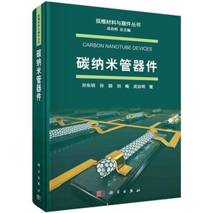 碳納米管器件 碳納米管器件