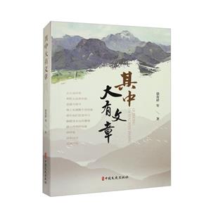 其中大有文章 其中大有文章