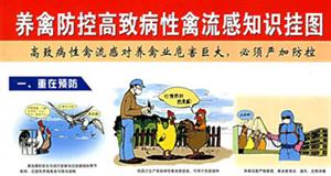 養(yǎng)禽防控高致病性禽流感知識掛圖 養(yǎng)禽防控高致病性禽流感知識掛圖