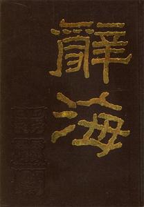 《辭海》讀后感300字：辭海無涯，知識之旅的啟航，探索智慧深淵的奇妙之旅！