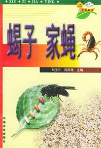 蝎子家蠅 蝎子家蠅