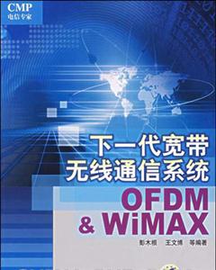 下一代寬帶無線通信系統(tǒng)OFDM與WiMAX 下一代寬帶無線通信系統(tǒng)OFDM與WiMAX