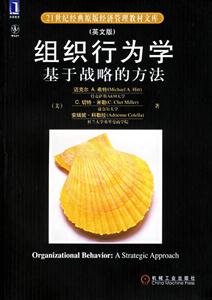 組織行為學(xué)基于戰(zhàn)略的方法