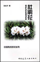 杜鵑花 杜鵑花