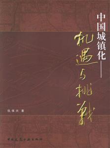 中國城鎮(zhèn)化機遇與挑戰(zhàn) 中國城鎮(zhèn)化機遇與挑戰(zhàn)