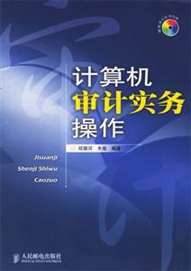 計(jì)算機(jī)審計(jì)實(shí)務(wù)操作 計(jì)算機(jī)審計(jì)實(shí)務(wù)操作