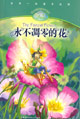 永不調(diào)零的花 永不調(diào)零的花