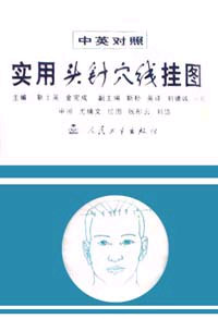 實(shí)用頭針穴線掛圖 實(shí)用頭針穴線掛圖