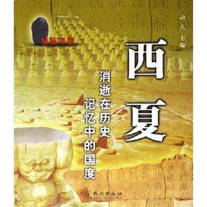 西夏消逝在歷史記憶中的國度 西夏消逝在歷史記憶中的國度