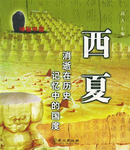神秘中國西夏 神秘中國西夏