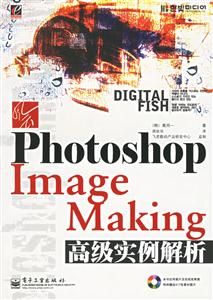 PhotoshopImageMaking高級實例解析 PhotoshopImageMaking高級實例解析