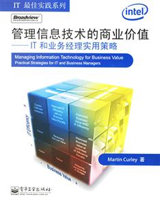 管理信息技術的商業價值IT和業務經理實用策略 管理信息技術的商業價值IT和業務經理實用策略