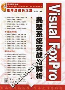 VF典型系統實戰與解析 VF典型系統實戰與解析