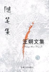 王朔文集隨筆集 王朔文集隨筆集
