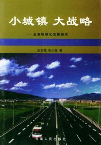 小城鎮大戰略