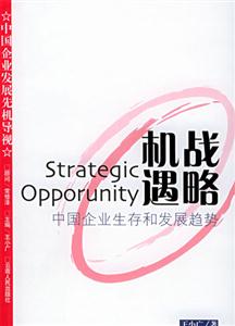 《戰(zhàn)略機遇》讀后感：揭秘時代的轉(zhuǎn)折點，一場智慧與決策的懸疑之旅！