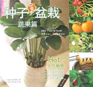 #種子變盆栽蔬果篇 #種子變盆栽蔬果篇