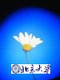 國際經(jīng)濟法學(xué)刊 國際經(jīng)濟法學(xué)刊