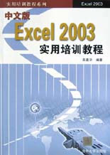 中文版Excel2003實用培訓教程 中文版Excel2003實用培訓教程