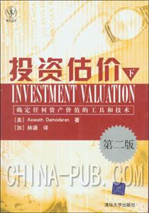 投資估價確定任何資產價值的工具和技術:第2版 投資估價確定任何資產價值的工具和技術:第2版