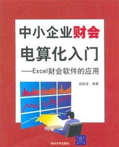 中小企業財會電算化入門Excel財會軟件的應用:Excel財會軟件的應用 中小企業財會電算化入門Excel財會軟件的應用:Excel財會軟件的應用