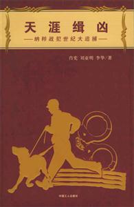 天涯緝兇 天涯緝兇