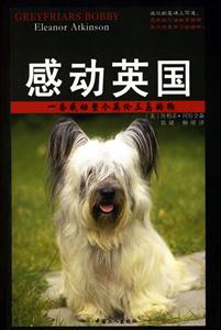 感動英國:一條感動整個英倫三島的狗 感動英國:一條感動整個英倫三島的狗