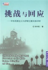 挑戰(zhàn)與回應(yīng) 挑戰(zhàn)與回應(yīng)