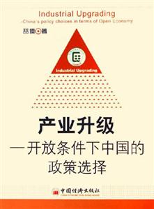 產業升級開放條件下中國的政策選擇 產業升級開放條件下中國的政策選擇