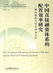 中國直接融資體系的配置效率研究:理論框架與綜合評估分析 中國直接融資體系的配置效率研究:理論框架與綜合評估分析