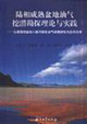 陸相成熟盆地油氣挖潛勘探理論與實踐:以渤海灣盆地八面河探區油氣成藏研究與應用為例 陸相成熟盆地油氣挖潛勘探理論與實踐:以渤海灣盆地八面河探區油氣成藏研究與應用為例